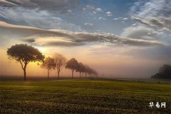 男士右手断掌纹命运：性格、财富与人际关系