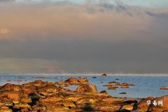 91年羊2026年会添宝宝吗,91年属羊什么时候添丁