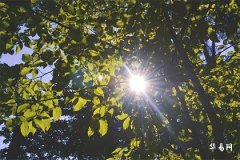 男生弱冠之年是指多少岁,弱冠之年可以指女子吗