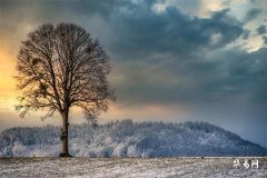 男孩脸上的痣的位置与命运图解