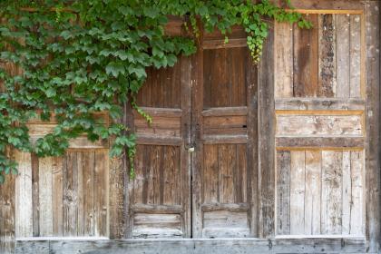 黄历名词：进人口是什么意思