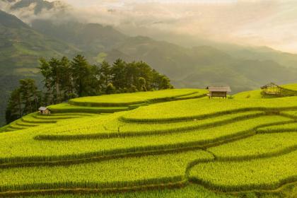 测测你适合什么样的工作环境